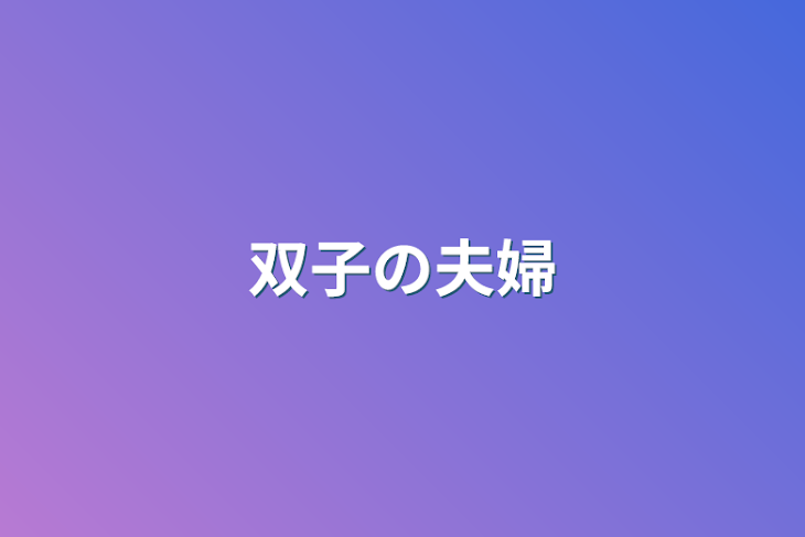 「双子の夫婦」のメインビジュアル