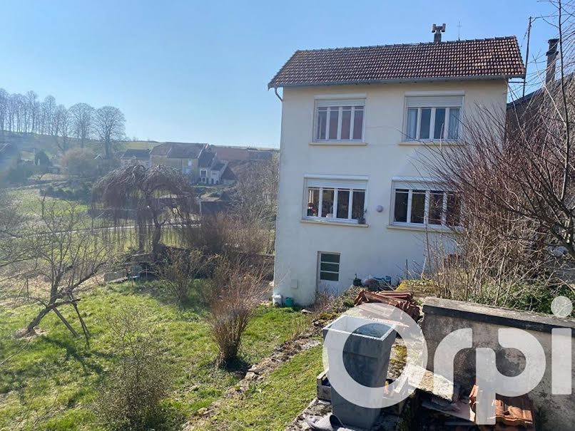 Vente maison 9 pièces 255 m² à Romain-sur-Meuse (52150), 90 000 €