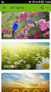 365  Цитат(圖2)-速報App