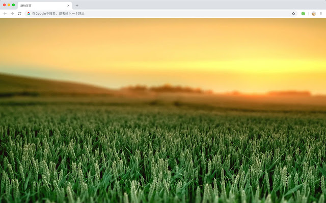 Prairie New Tab Pop Scenery HD Theme