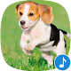 Download Appp.io - Puppy Sounds For PC Windows and Mac 1.0.3