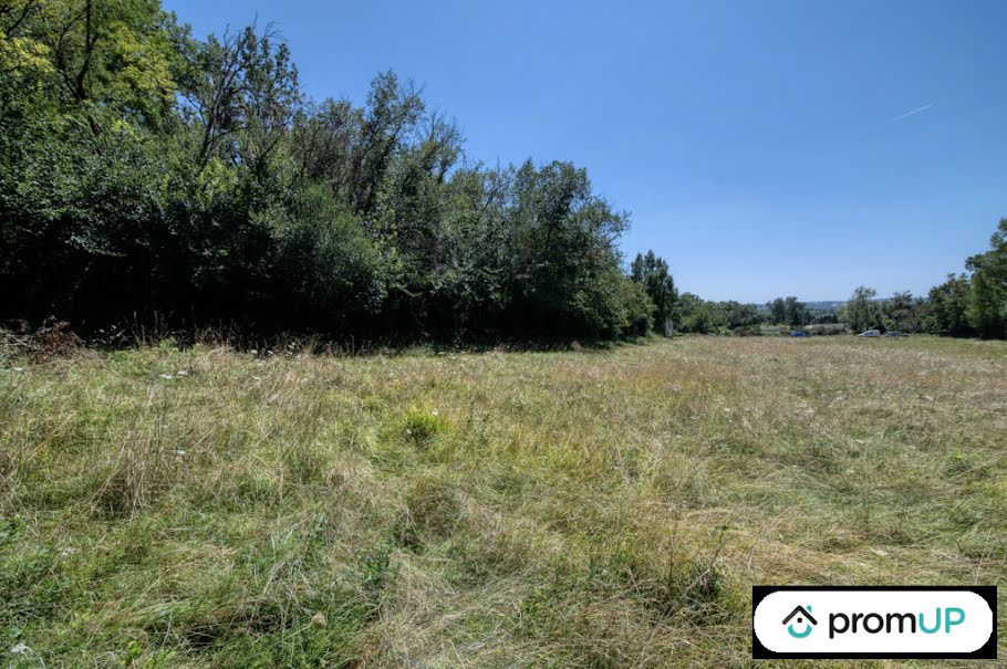 Vente terrain  6500 m² à Malause (82200), 52 000 €