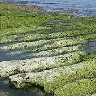 綠石槽漁夫海鮮餐廳