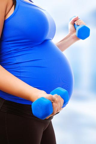 The Healthy Pregnancy Guide