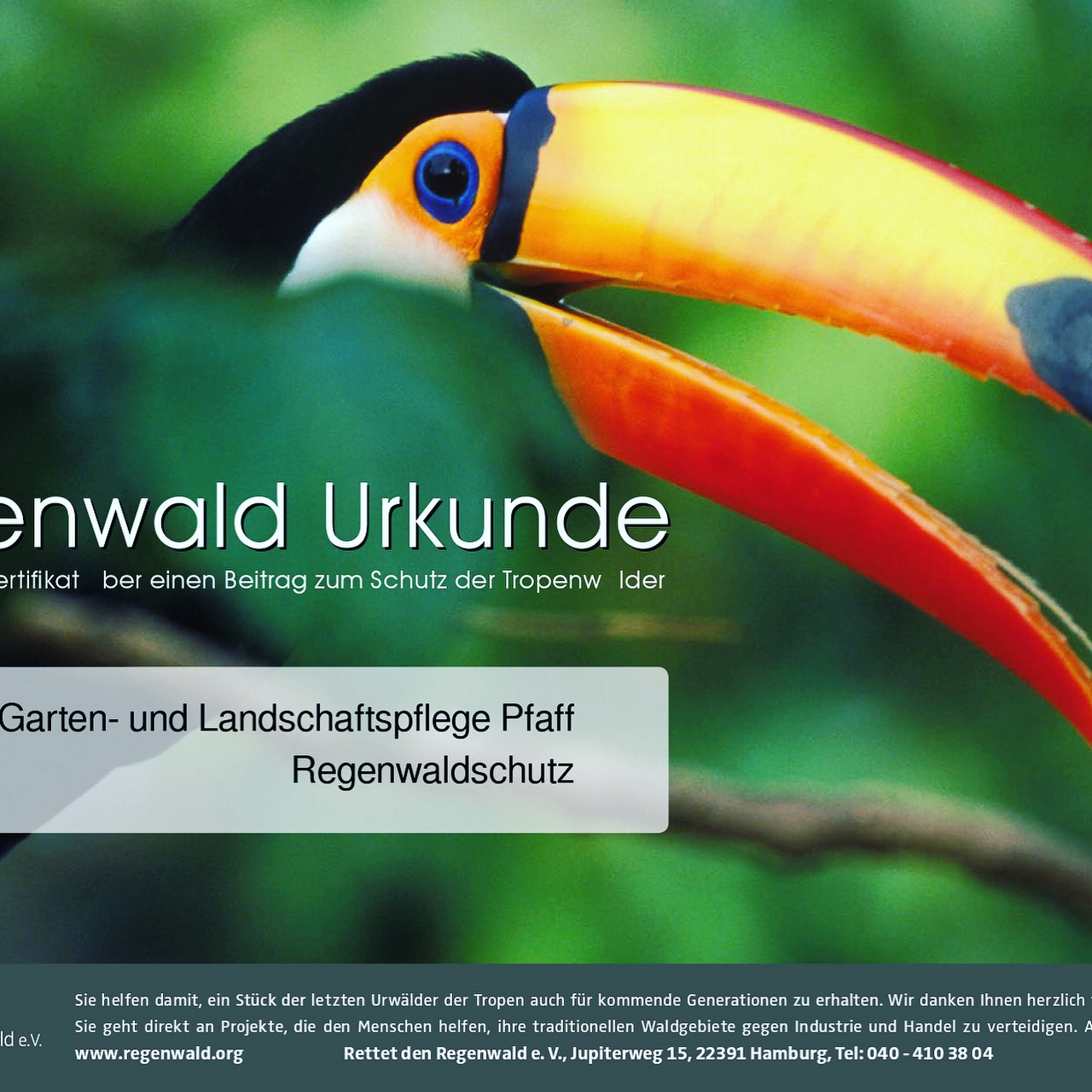 Garten Und Landschaftspflege Pfaff Landschaftsgestalter In