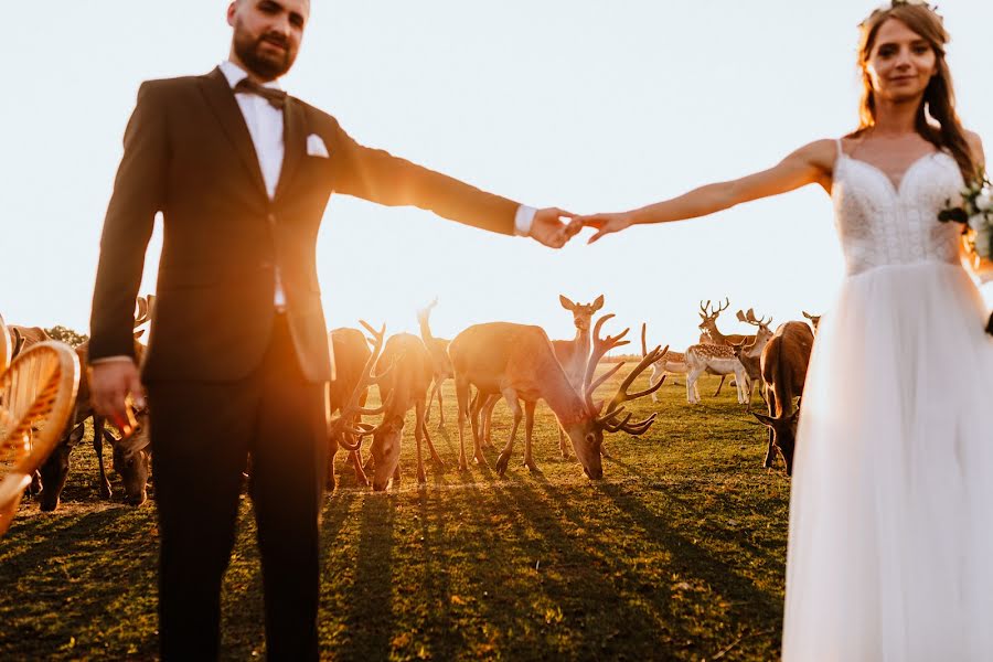 Fotografo di matrimoni Paulina Olejnik (paulinaolejnik). Foto del 27 luglio 2023