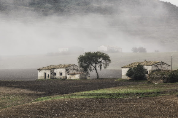 tu nebbia impalpabile e scialba di ph Silvio Basta