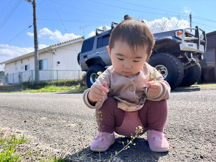 の投稿画像4枚目