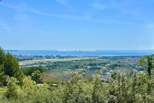 Land with panoramic view 1