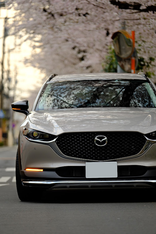 CX-30のサクラと愛車に関するカスタム事例の投稿画像9枚目