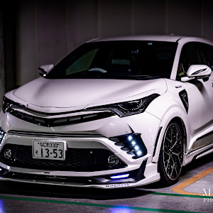 C-HR ZYX10