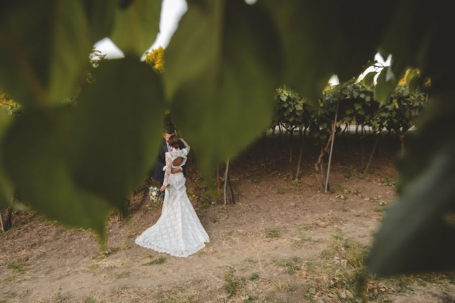 Fotógrafo de bodas Lucia Costantino (puntidivista). Foto del 20 de octubre 2023