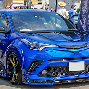 C-HR ZYX10