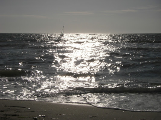 La vela nel mare di Stefano Poli Sandri