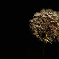 Soffio di luce di 