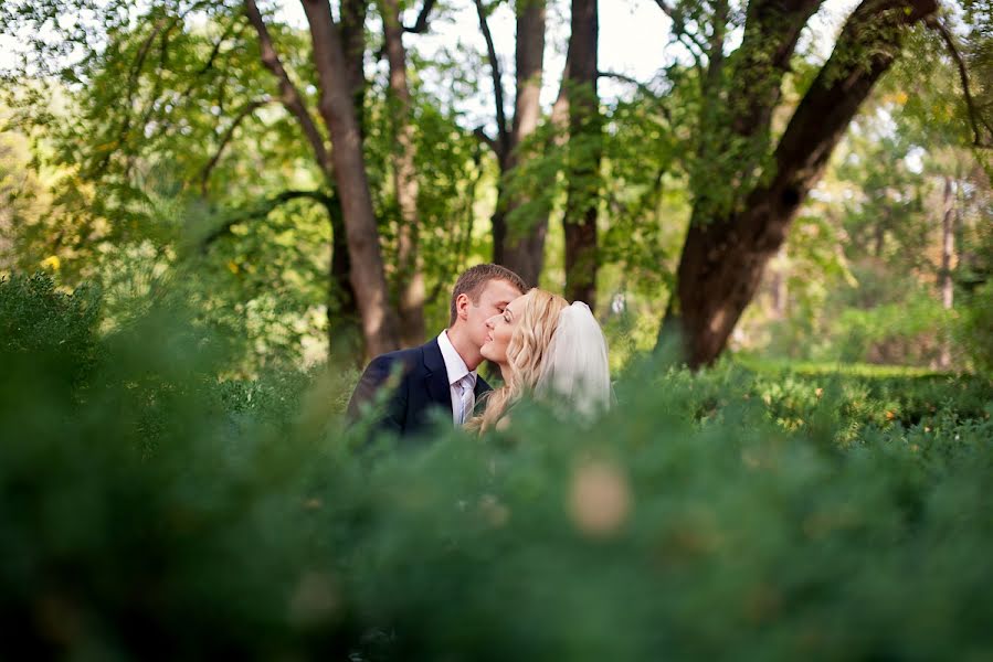 Wedding photographer Dmitriy Kurkan (kurcancom). Photo of 16 January 2013