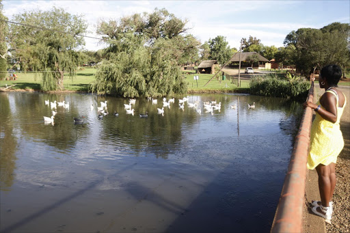 Rietvlei Zoo farm located on Swartkoppies Road South of Johannesburg offers a wide range of recreation, education and family outdoor activities. PIC: VATHISWA RUSELO. © SOWETAN/SUNDAY WORLD