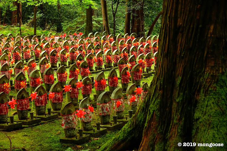 シビックの紅葉ドライブ・滋賀県はいいぞに関するカスタム事例の投稿画像5枚目