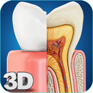 Download My Dental  Anatomy For PC Windows and Mac