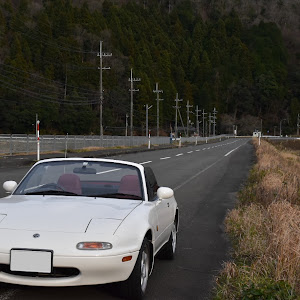 ロードスター NA8C