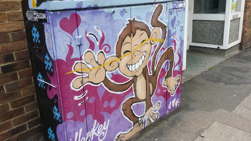 Smiling Monkey