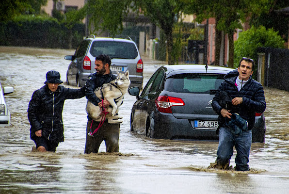 quando le strade sono d'acqua di stefano_angeli