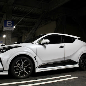 C-HR ZYX11