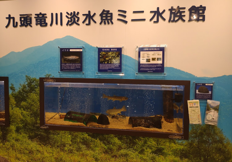 GRヤリスのいつもイイネ&コメントありがとうございます🙇‍♂️・GRヤリスRS・道の駅スタンプラリー・福井県ドライブ・恐竜とコラボ！に関するカスタム事例の投稿画像5枚目