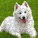 Download Puzzle Game : Jigsaw Puzzle, Picture Puzzle For PC Windows and Mac 1.0