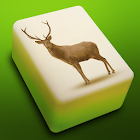 Mahjong Solitaire 3d : Animal  1.0
