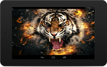 Tiger Wallpapers Apps Bei Google Play