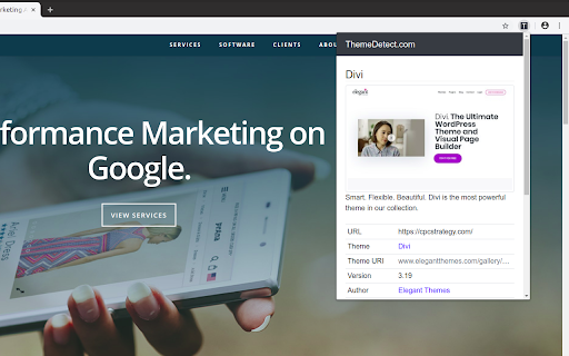 WordPress Theme Detection - ThemeDetect.com