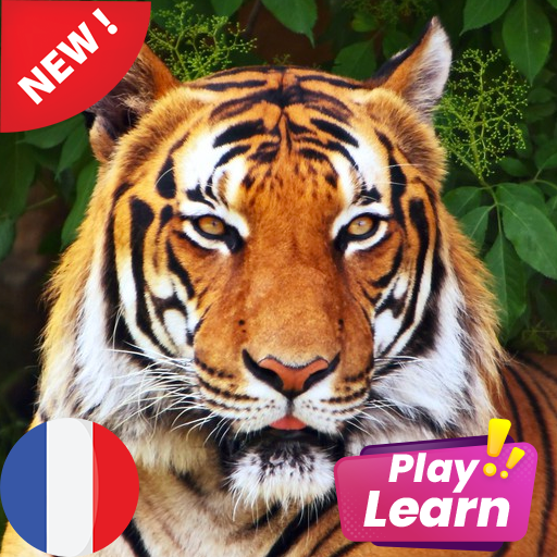 Learn Animals in French  Picture Quiz  Spelling