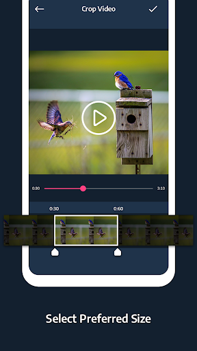Video Subtitle Maker