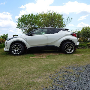 C-HR ZYX11