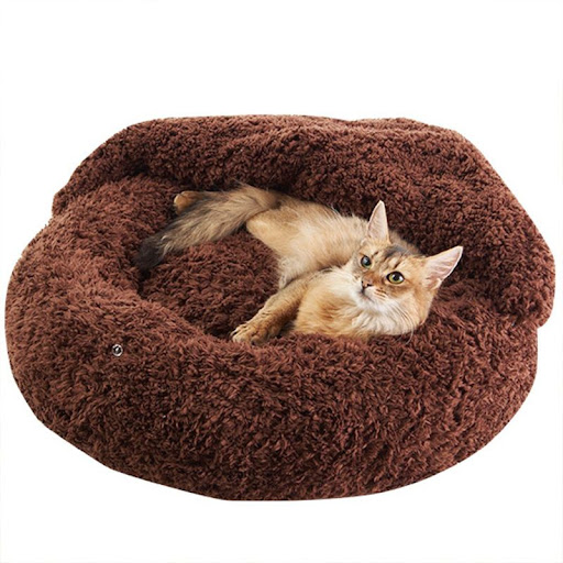 Title 4, Cats Nest Deep Sleep Semi Closed A cozy haven ...