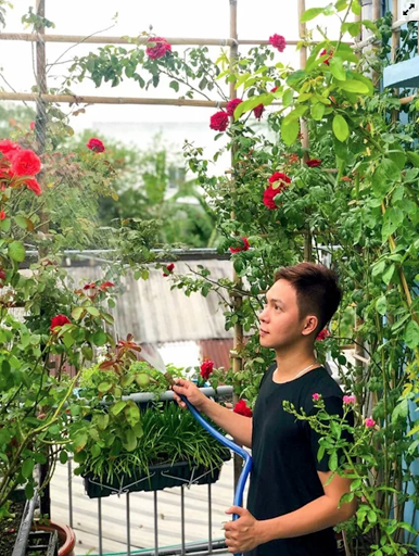 Anh Hưng tưới nước cho vườn hồng