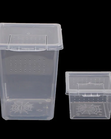 1pcs Plastic Feeding Acrylic Box Insect Spider Habitat Fe... - 1