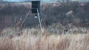 Jase and Jayce - TX Whitetails thumbnail