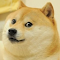 Item logo image for DOGE