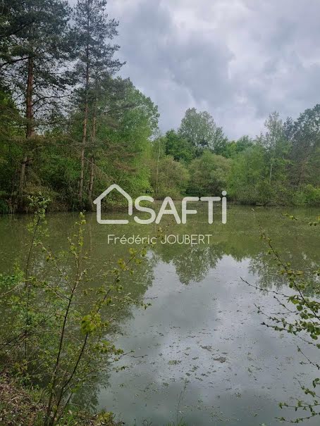 Vente terrain  20000 m² à Le Controis-en-Sologne (41700), 192 000 €