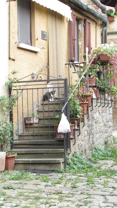 siesta di riccardo.marchionni.54