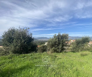 terrain à batir à Ajaccio (2A)