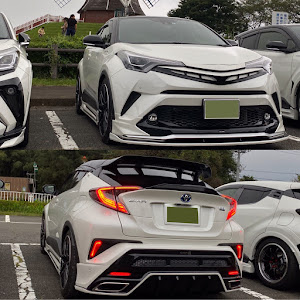 C-HR ZYX10