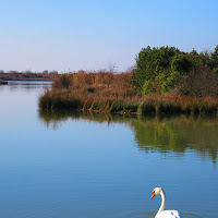 Incantevole laguna di 