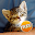 Cat And Kitten Sounds Download on Windows