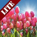 Tulip Field Lite LWP