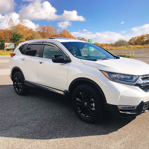 CR-V RT6