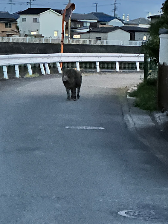 の投稿画像2枚目