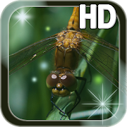 Dragonfly Live Wallpaper  Icon